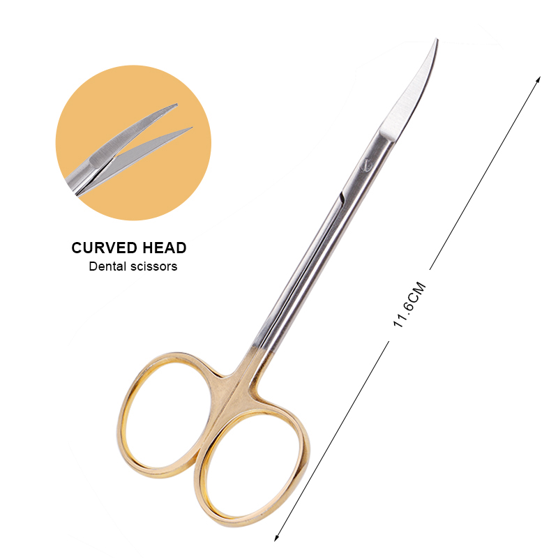 Dental Stainless Steel Medical - Medical Scissors review and price
