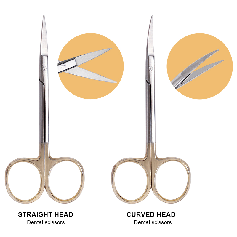 Stainless Steel Medical Dental - Medical Scissors review and price