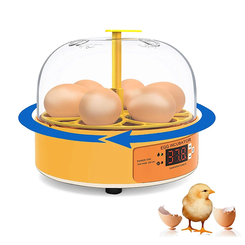 Breeding Incubator Chicken Duc - Lab Incubator review and price