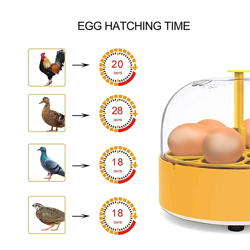 Breeding Incubator Chicken Duc - Lab Incubator review and price