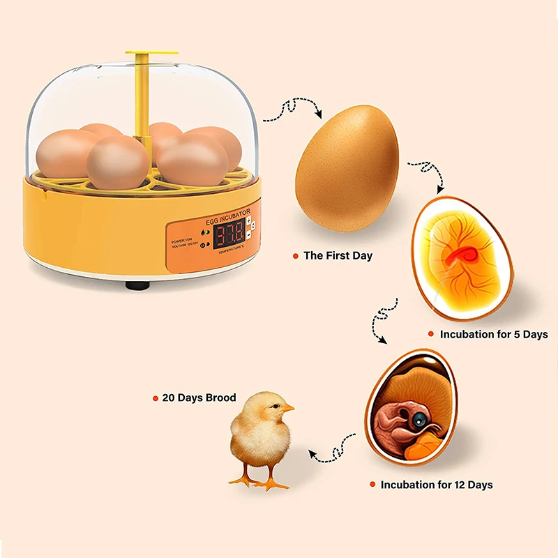 Breeding Incubator Chicken Duc - Lab Incubator review and price