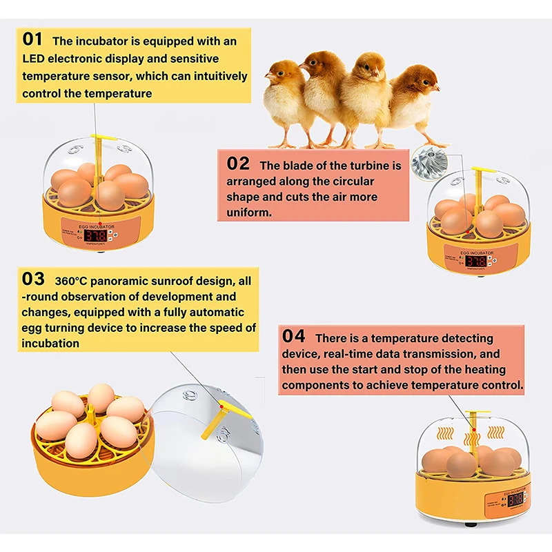 Breeding Incubator Chicken Duc - Lab Incubator review and price