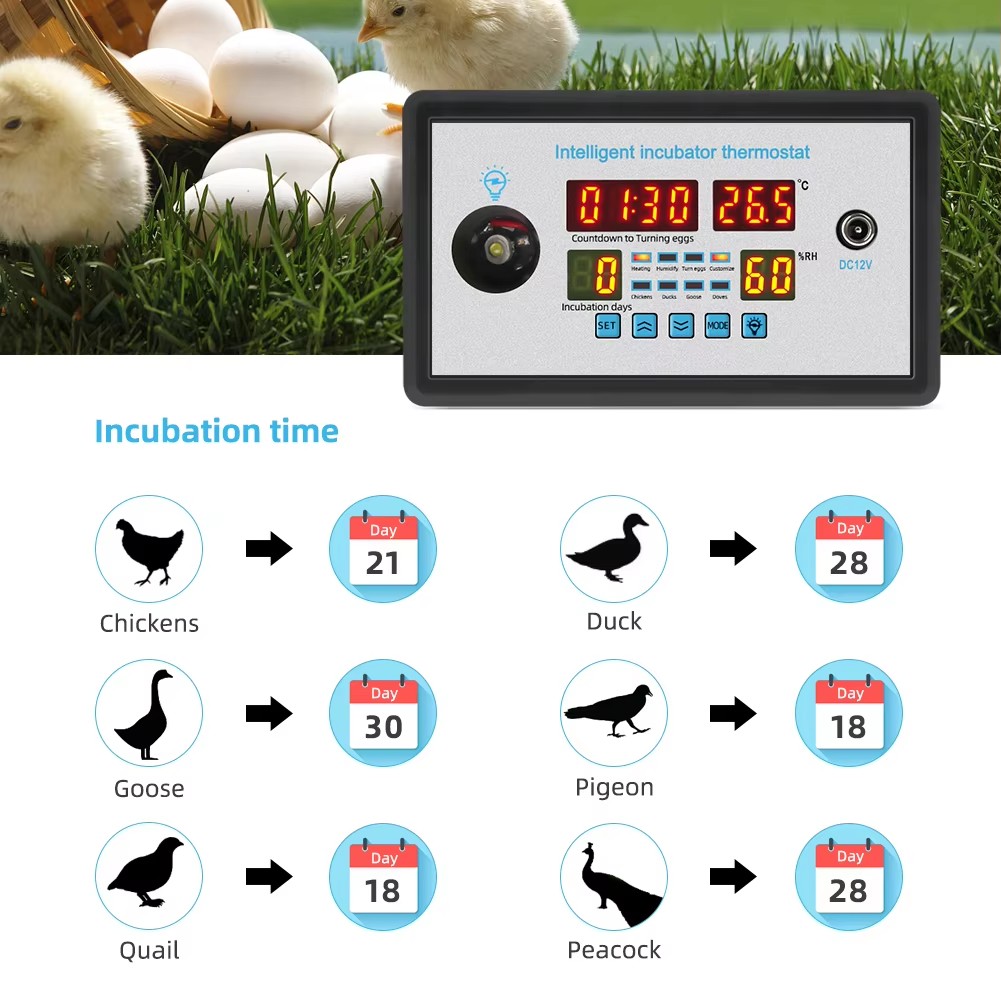 ZFX-W9002 12V/220V Egg Incubat - Lab Incubator review and price