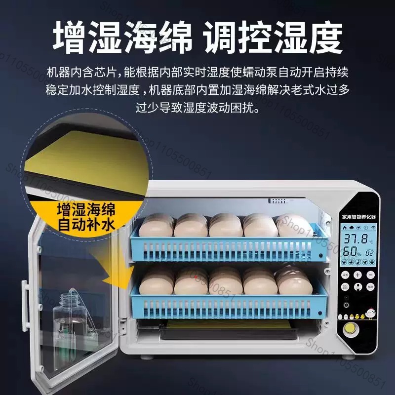High-end Incubator Small House - Lab Incubator review and price