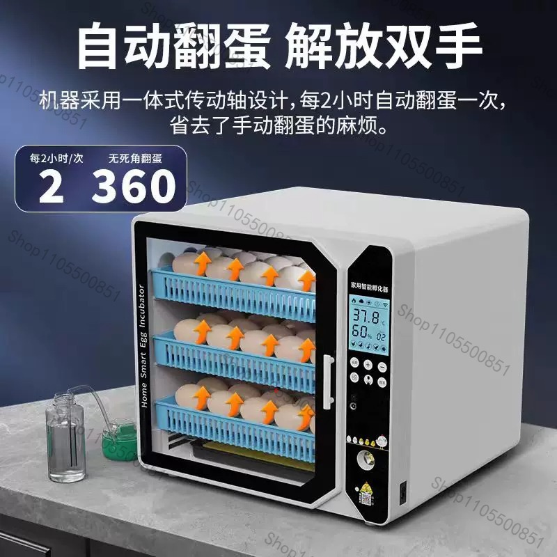 High-end Incubator Small House - Lab Incubator review and price