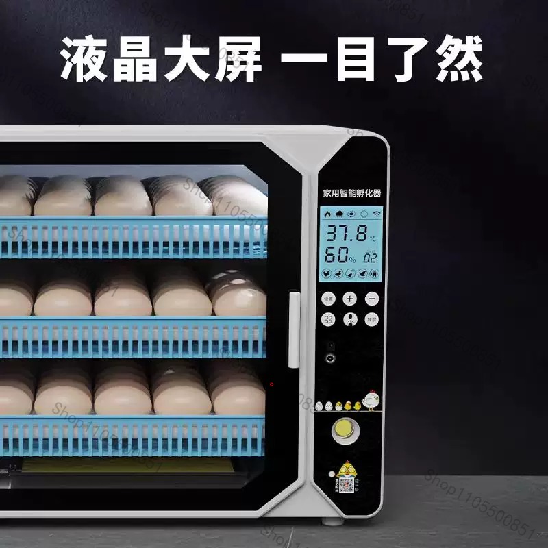 High-end Incubator Small House - Lab Incubator review and price