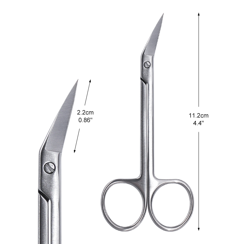 1pc Dental Micro Scissors Curv - Medical Scissors review and price