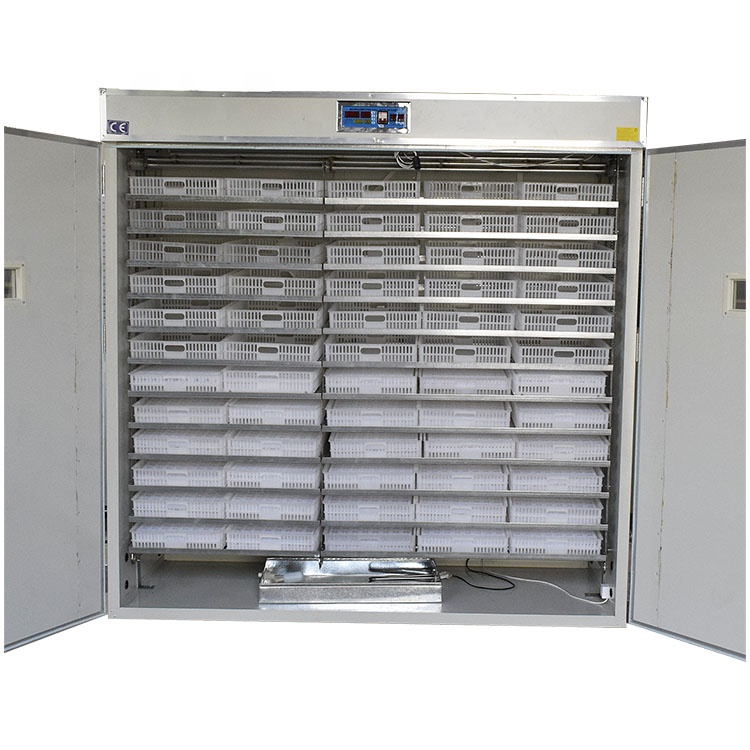 5000 Eggs   Machines for Small - Lab Incubator review and price