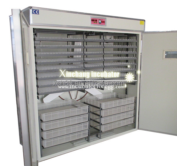 5000 Eggs   Machines for Small - Lab Incubator review and price